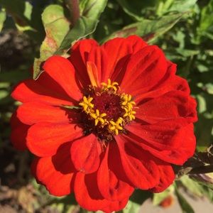 Meet your Posher, Payton